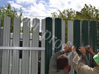 Забор из металлического штакетника 1